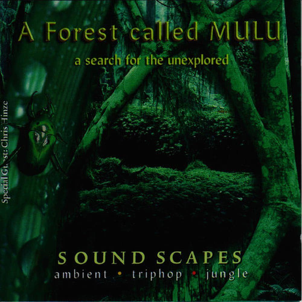 A Forest Called Mulu