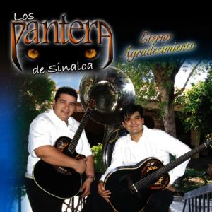 ดาวน์โหลดและฟังเพลง Arrancame La Vida พร้อมเนื้อเพลงจาก Los Pantera De Sinaloa