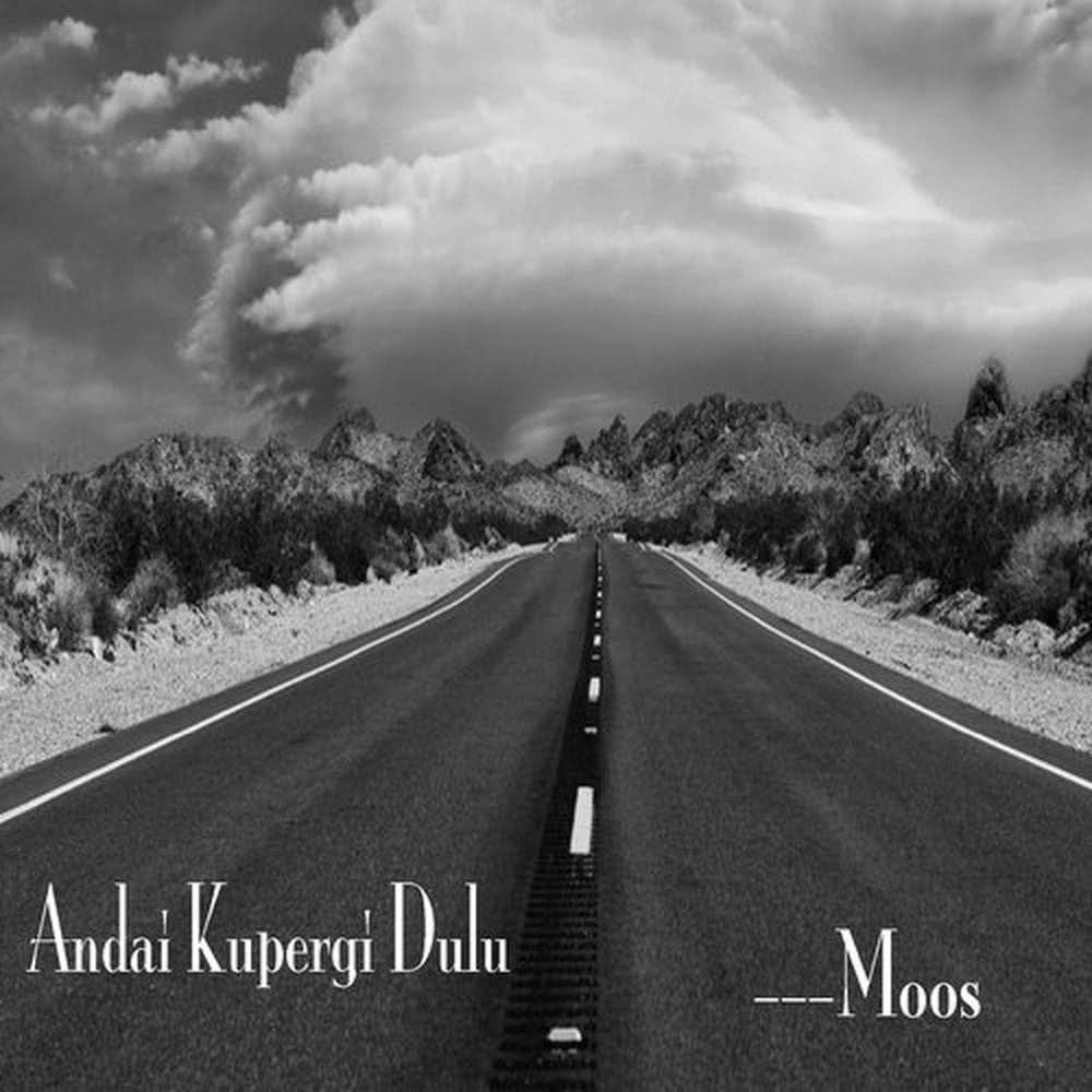 Andai Ku Pergi Dulu