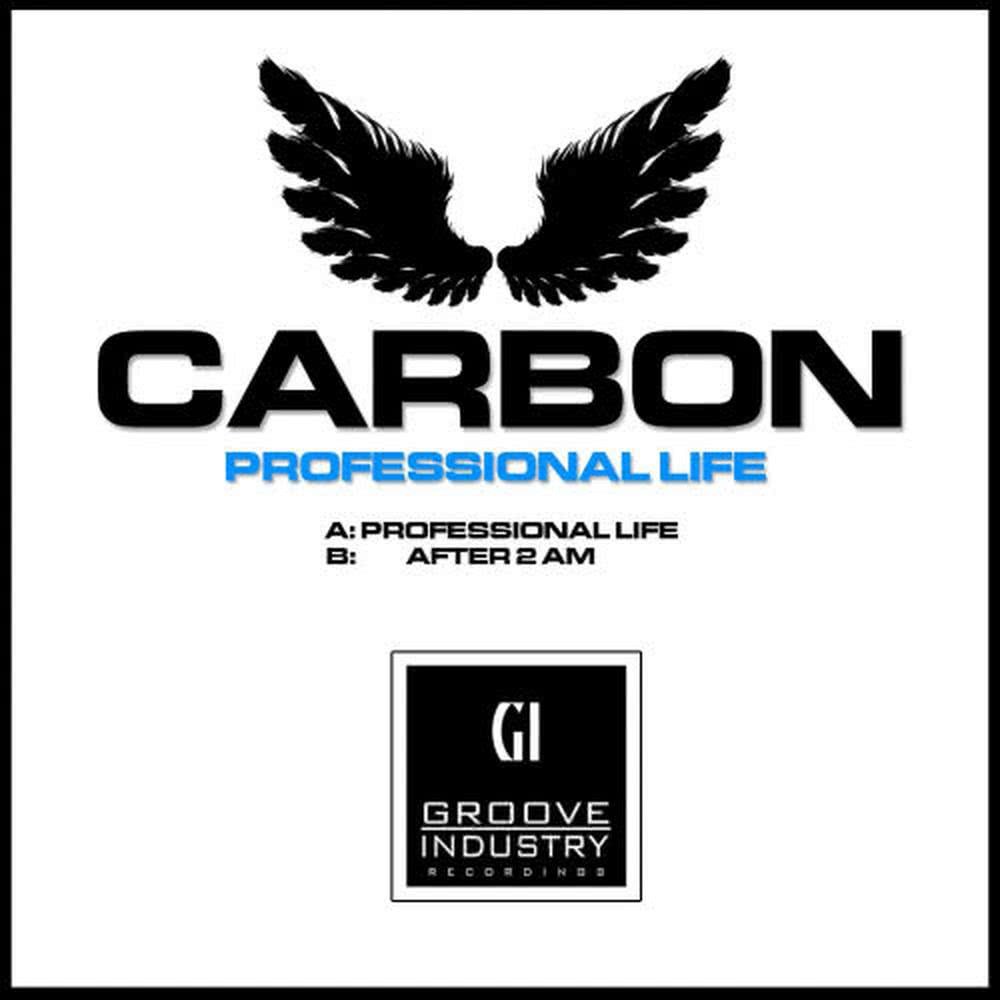 Professional Life (Original Mix)