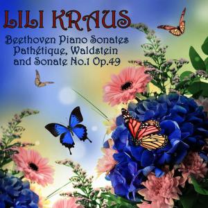 ดาวน์โหลดและฟังเพลง Sonata Op. 49 No.1 in G Minor: II. Rondo - allegro พร้อมเนื้อเพลงจาก Lili Kraus