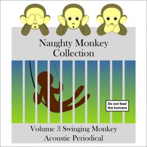 ดาวน์โหลดและฟังเพลง Monkey Bars พร้อมเนื้อเพลงจาก Artist@Large AnkSteady