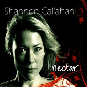 ดาวน์โหลดและฟังเพลง Wish On You พร้อมเนื้อเพลงจาก Shannon Callahan
