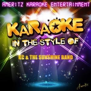收聽Ameritz Karaoke Entertainment的Please Don't Go (Karaoke Version)歌詞歌曲