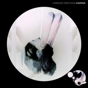 ดาวน์โหลดและฟังเพลง New Light พร้อมเนื้อเพลงจาก Lorenzo Montanà
