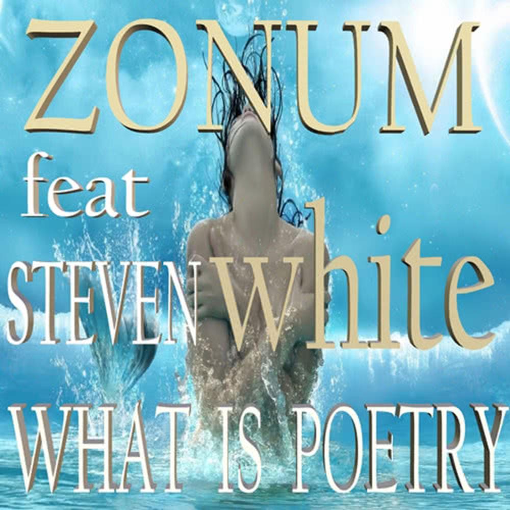 What Is Poetry (Zonum Dub)