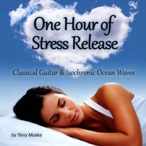 ดาวน์โหลดและฟังเพลง A Beach Recital(Classical & Spanish Guitar Favorites by Bach, Albeniz and Other Legendary Composers) พร้อมเนื้อเพลงจาก Terry Muska
