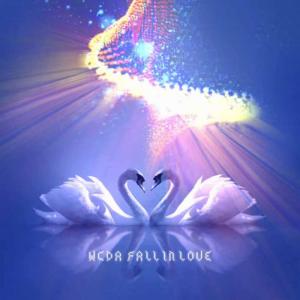 ดาวน์โหลดและฟังเพลง Fall In Love (Radio Varsion) พร้อมเนื้อเพลงจาก W.C.D.A.