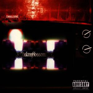 ดาวน์โหลดและฟังเพลง Skyscrapers พร้อมเนื้อเพลงจาก Slangblossom