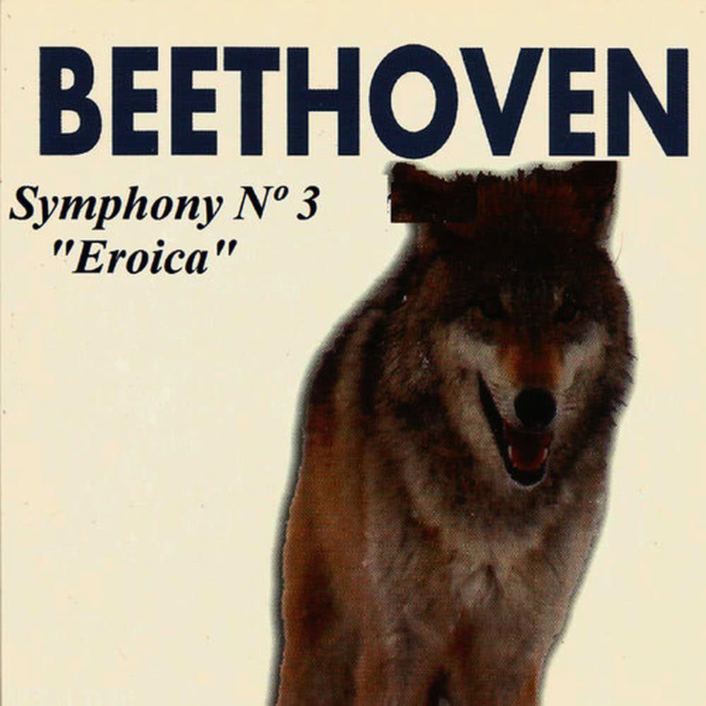 Symphony No. 3 in E-Flat Major, Op. 55: IV. Finale. Allegro molto