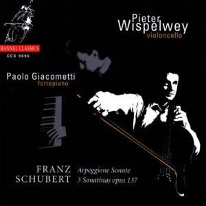 ดาวน์โหลดและฟังเพลง Sonatina in A Minor for Cello and Piano, D 385 Op. 137 No. 2: Allegro พร้อมเนื้อเพลงจาก Pieter Wispelwey