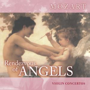 ดาวน์โหลดและฟังเพลง Concerto For Violin And Orchestra No. 2 In D Major, K. 211: I. Allegro Moderato พร้อมเนื้อเพลงจาก Benjamin Schmid