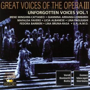 收聽Irene Minghini-Cattaneo的Mefistofele: La luna immobile歌詞歌曲