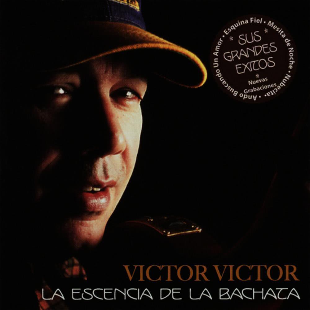Yo la Tengo