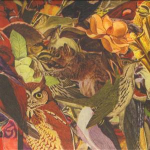 收聽Everlovely Lightningheart的Cusp歌詞歌曲