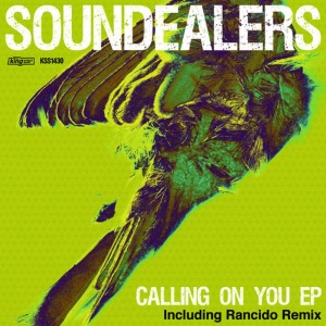 ดาวน์โหลดและฟังเพลง I Know You Want Me(Rey & Kjavik Remix) พร้อมเนื้อเพลงจาก Soundealers