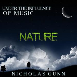 收聽Nicholas Gunn的Nature, Under the Influence of Music歌詞歌曲