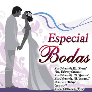 ดาวน์โหลดและฟังเพลง Canon พร้อมเนื้อเพลงจาก The Royal Alhambra Orchestra