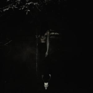 อัลบัม Embrace the Wretched Flesh ศิลปิน Of Feather And Bone