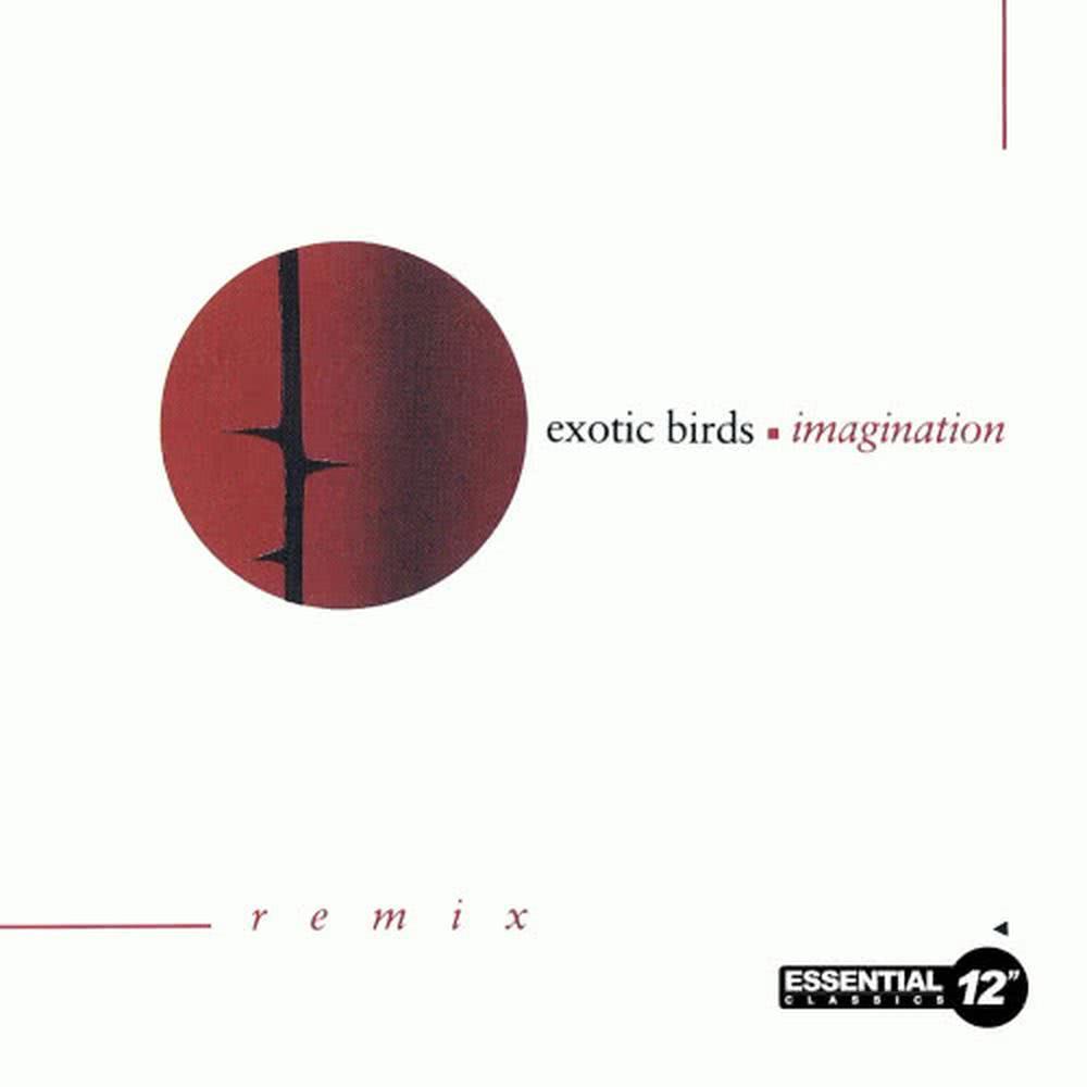 Imagination (Single)