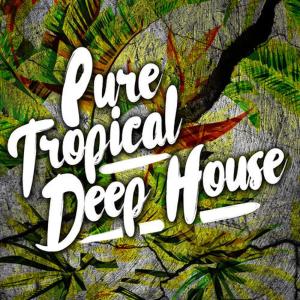 ดาวน์โหลดและฟังเพลง I Want You There พร้อมเนื้อเพลงจาก Tropical House