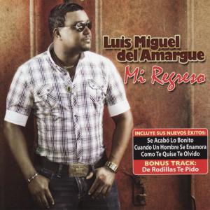 Luis Miguel del Amargue的專輯Mi Regreso