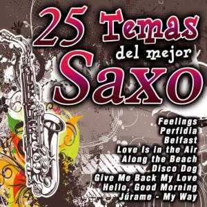 收聽The Royal Sax Orchestra的Do You Know Where You Are Going To歌詞歌曲