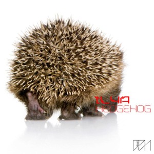 ดาวน์โหลดและฟังเพลง Hedgehog (Original Mix) พร้อมเนื้อเพลงจาก Ilya
