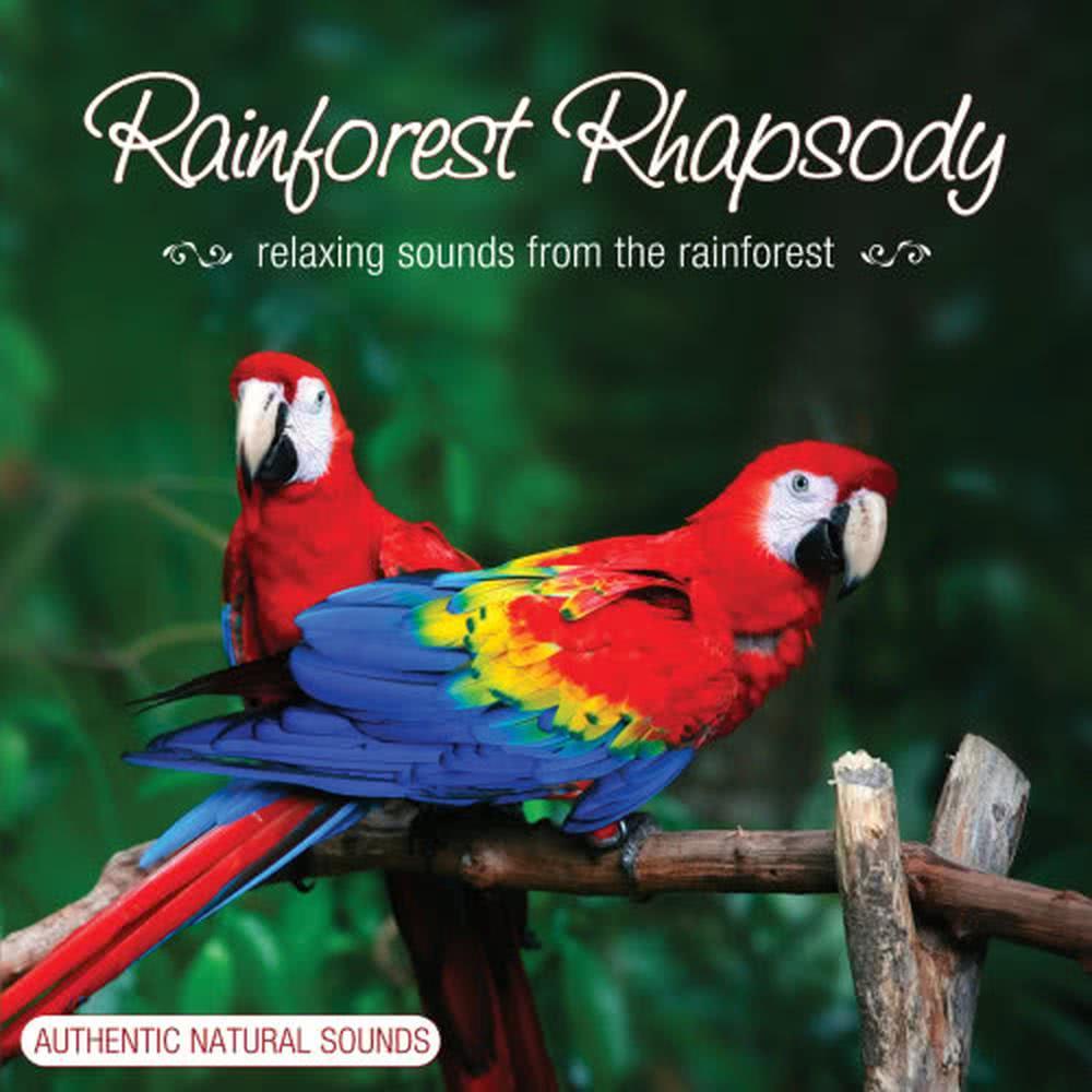 Rainforest Rhapsody