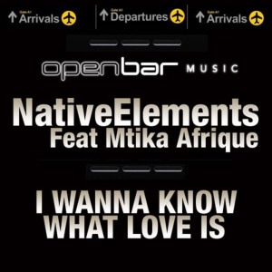 ดาวน์โหลดและฟังเพลง I Wanna Know What Love Is (Max Martinez AfroTech Mix) พร้อมเนื้อเพลงจาก Native Elements