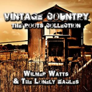 ดาวน์โหลดและฟังเพลง Say Darling Won't You Love Me พร้อมเนื้อเพลงจาก Willmer Watts & The Lonely Eagles