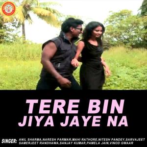 Dengarkan Tere Bin Jiya Jaye Na lagu dari Anil Sharma dengan lirik