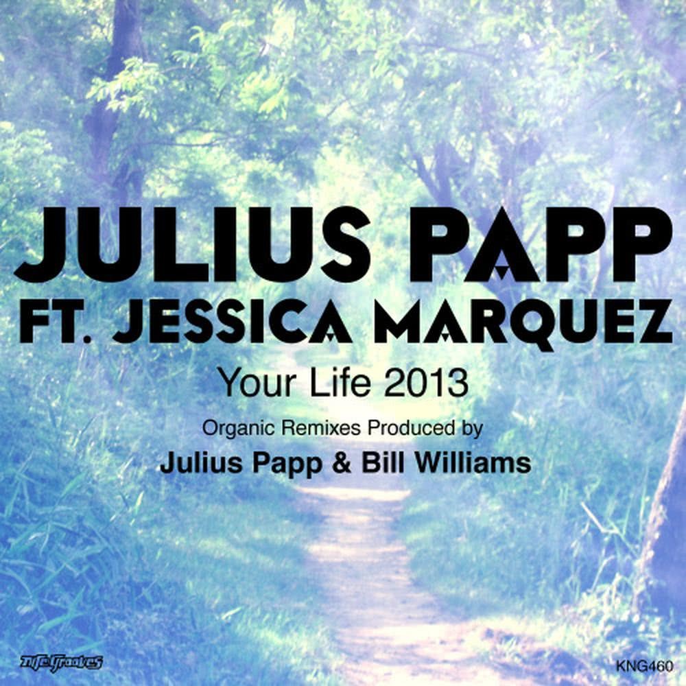 Your Life 2013 (Organic Beats)