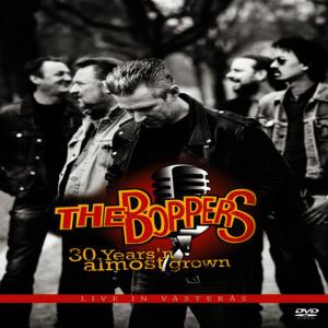 ดาวน์โหลดและฟังเพลง Surfin Bird พร้อมเนื้อเพลงจาก The Boppers