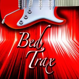 ดาวน์โหลดและฟังเพลง Digital Sound Bed Track พร้อมเนื้อเพลงจาก Royalty Free Music