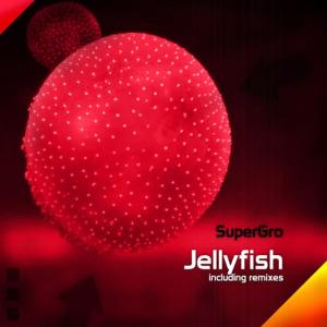 收聽SuperGro的Jellyfish (Prema van Smuuf rmx)歌詞歌曲