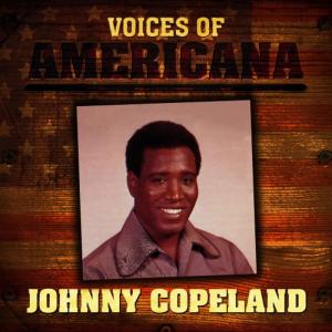 ดาวน์โหลดและฟังเพลง Hurt Hurt Hurt (Alternate Take) พร้อมเนื้อเพลงจาก Johnny Copeland