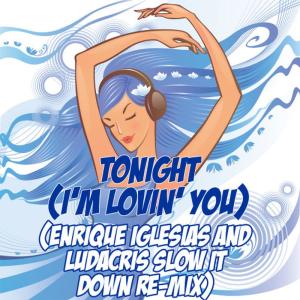 ดาวน์โหลดและฟังเพลง Tonight (I'm Lovin' You) (Enrique Iglesias and Ludacris Slow It Down Re-Mix Tribute) พร้อมเนื้อเพลงจาก Slow It Down