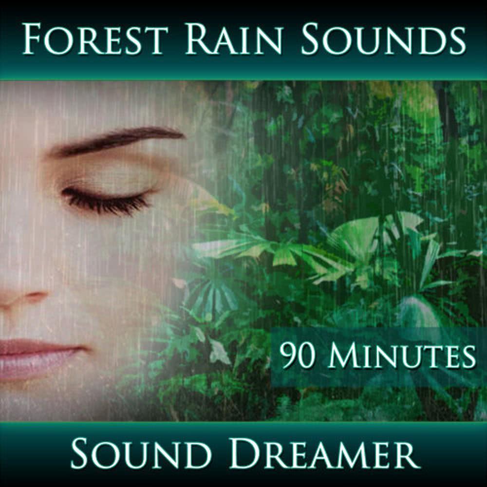 Forest Rain Sounds - 90 Minutes