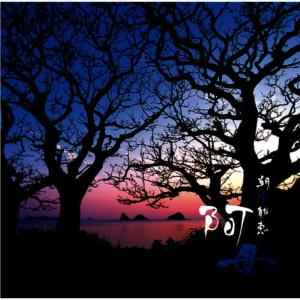 ดาวน์โหลดและฟังเพลง Agaru Hi Nu Haru Kana พร้อมเนื้อเพลงจาก 朝崎郁恵