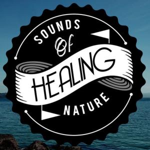收聽Healing Sounds for Deep Sleep and Relaxation的Forest Afternoon歌詞歌曲