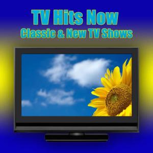 อัลบัม TV Hits Now - Classic & New TV Shows ศิลปิน The TV Theme Players