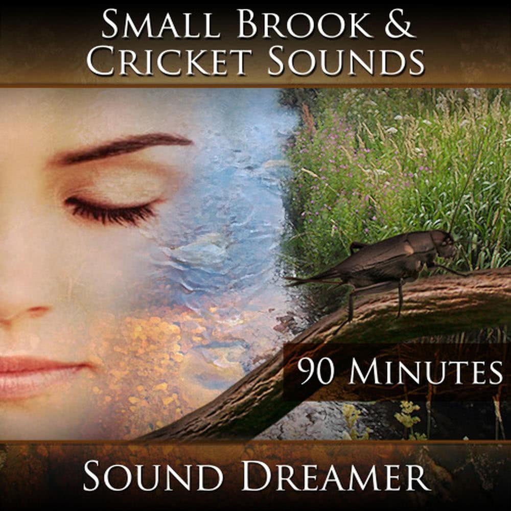 Small Brook and Cricket Sounds - 90 Minutes