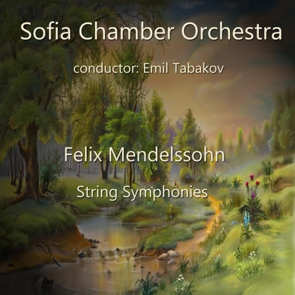 String Symphony No. 4 in C Minor, MWV N 4: 2. Andante