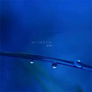 ดาวน์โหลดและฟังเพลง 放弃我抓紧我 พร้อมเนื้อเพลงจาก 刘佳欣