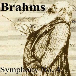 ดาวน์โหลดและฟังเพลง Symphony No. 4 in E Minor, Op. 98: II. Andante moderato พร้อมเนื้อเพลงจาก Orquesta Lírica de Barcelona