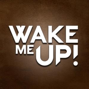 收聽Classic Tones的Wake Me Up - Avicii and Aloe Blacc Tribute - Levels - Avici - Aviici - #true歌詞歌曲