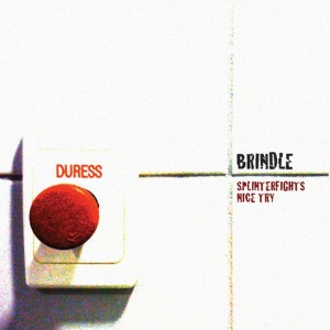 ดาวน์โหลดและฟังเพลง Nice Try พร้อมเนื้อเพลงจาก Brindle