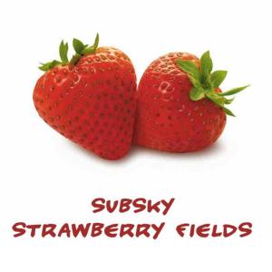 ดาวน์โหลดและฟังเพลง Strawberry Fields (Original Mix) พร้อมเนื้อเพลงจาก Subsky