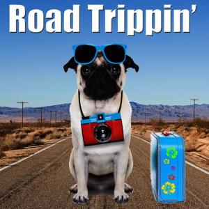 Viva La Rock的專輯Road Trippin'